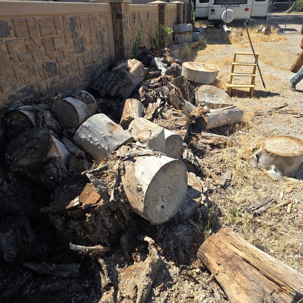 Free Firewood - Mixed Hardwood Logs and Stumps for Burning or Crafting