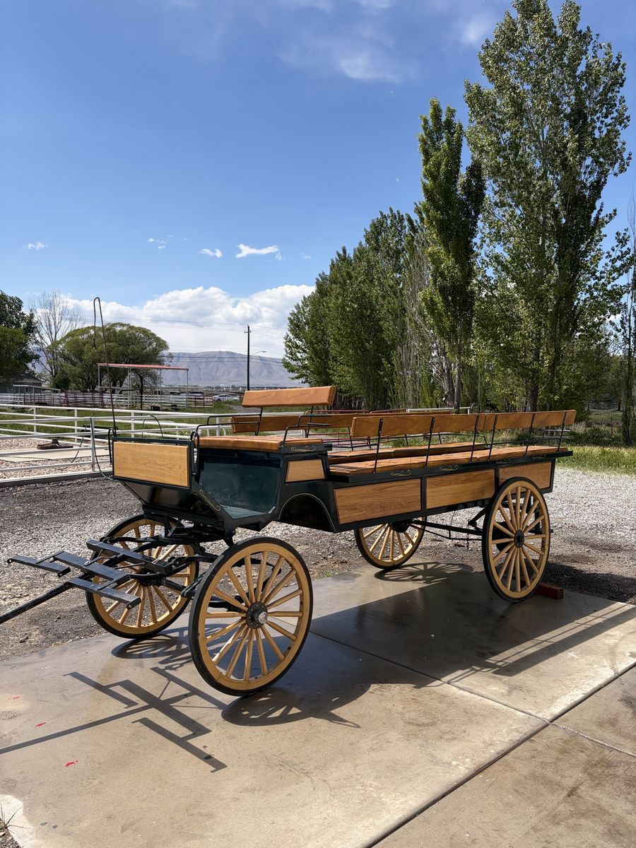 Team Horse Pioneer Wagon