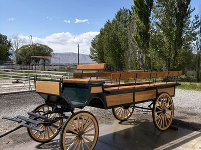 Team Horse Pioneer Wagon