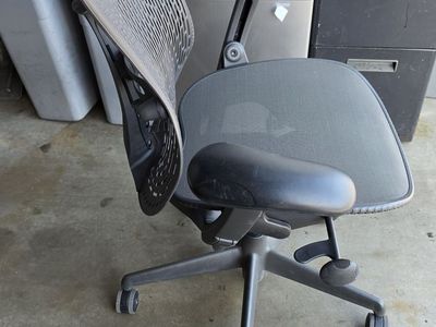 Herman Miller Mirra Office Chairs - Ergonomic, Adjustable, Gray, Brown Mesh
