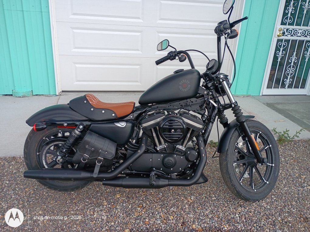 2022 Harley Davidson Sportster 883