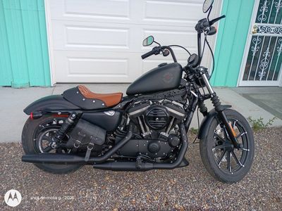 2022 Harley Davidson Sportster 883