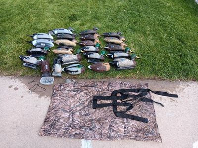 Duck decoys, fully rigged up, bag & weights inclu.