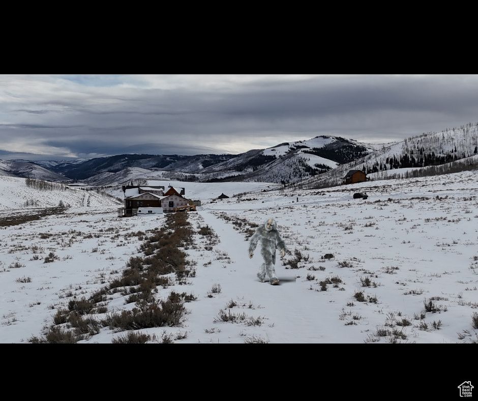 7.56 acres of pure freedom, fresh air in Scofield, UT!