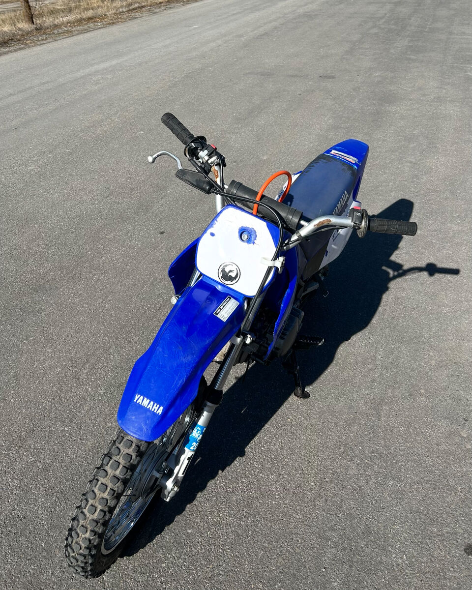 2007 TTR 90