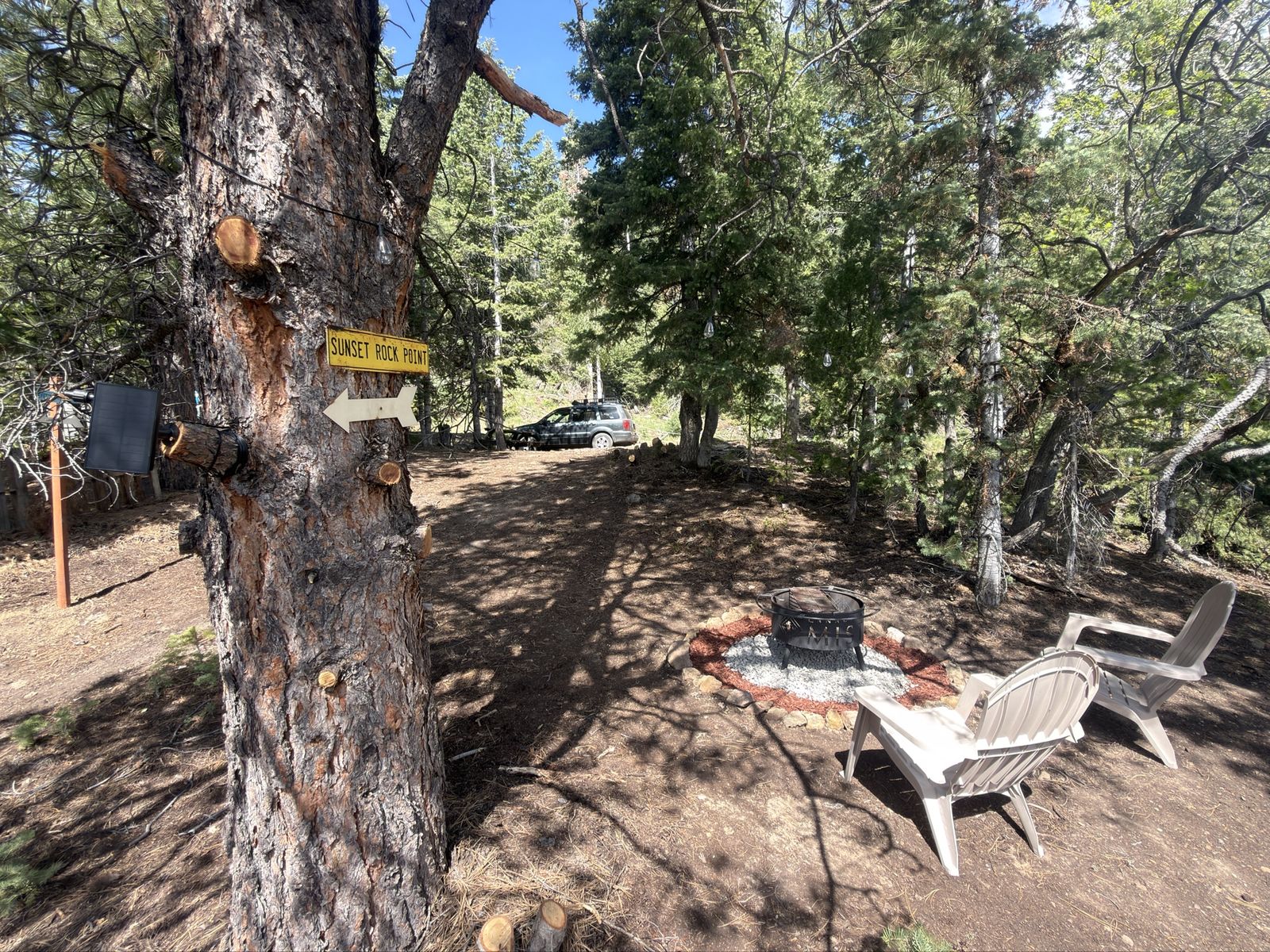 Main image 15
