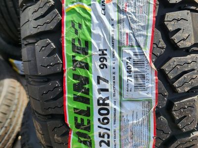 225/60r17 delinte centurion at