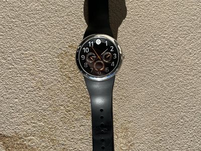 PHILIP STEIN FRUITZ MEN'S WATCH