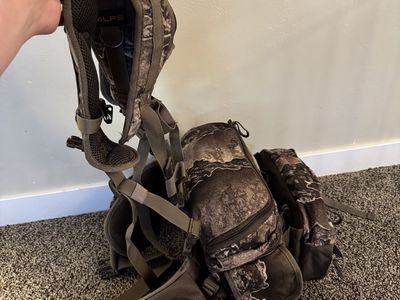 ALPS OutdoorZ Big Bear Day Pack (lumbar pack/back pack combo)