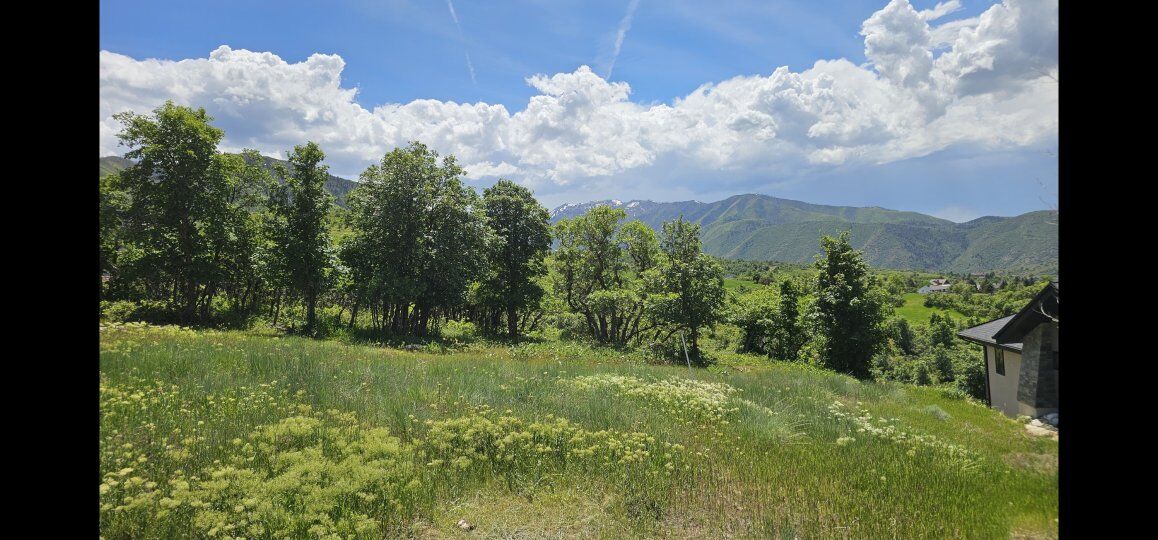 AWESOME SUMMIT CREEK / WOODLAND HILLS VIEW LOT