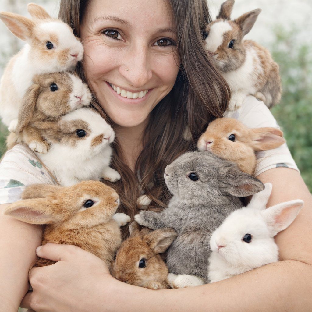 Hoppity Floppity Rabbitry: Adorable Baby Rabbits Available for Adoption