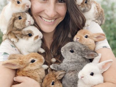 Hoppity Floppity Rabbitry: Adorable Baby Rabbits Available for Adoption