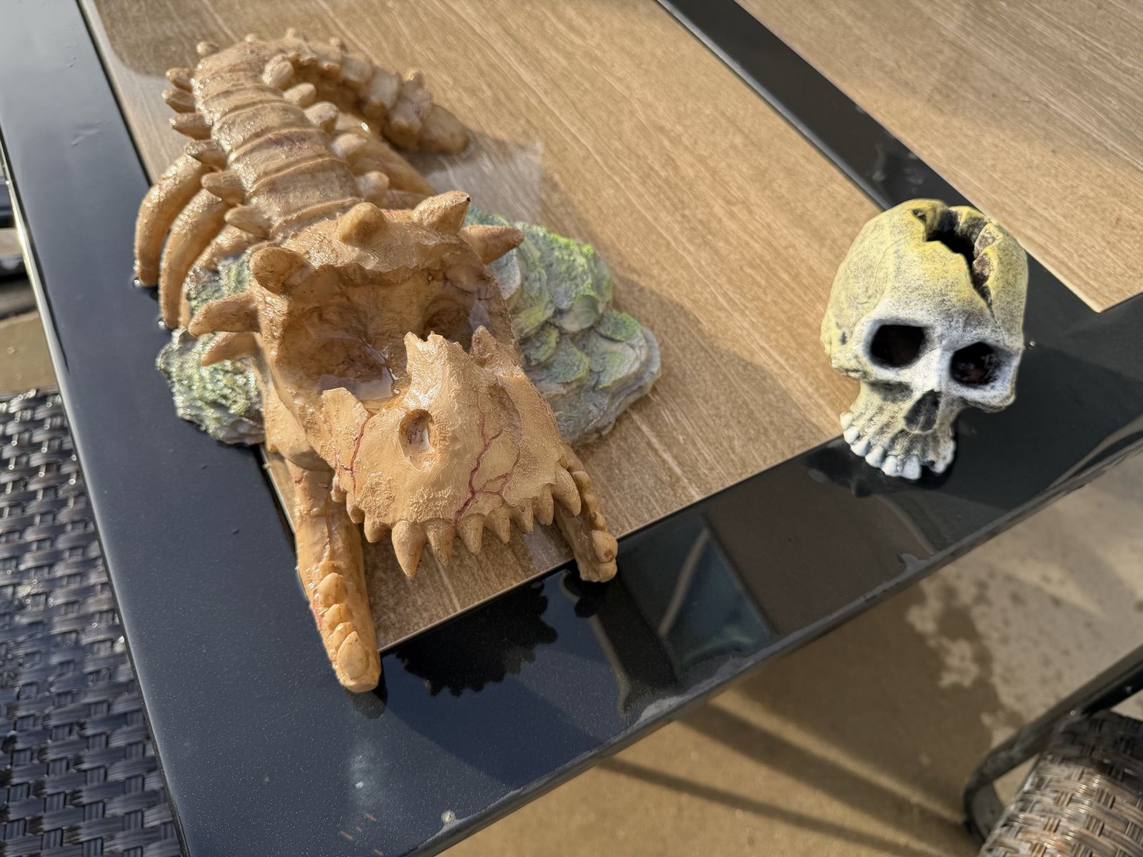 Reptile Decor