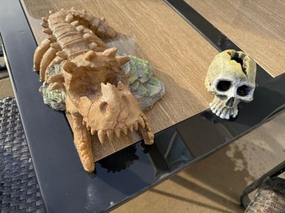 Reptile Decor