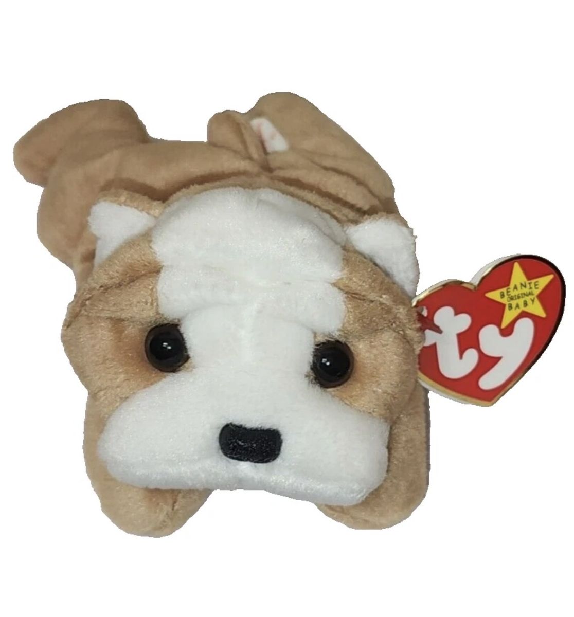 Ty Beanie Baby - WRINKLES the Bull Dog 8" Plush Stuffed Animal Toy