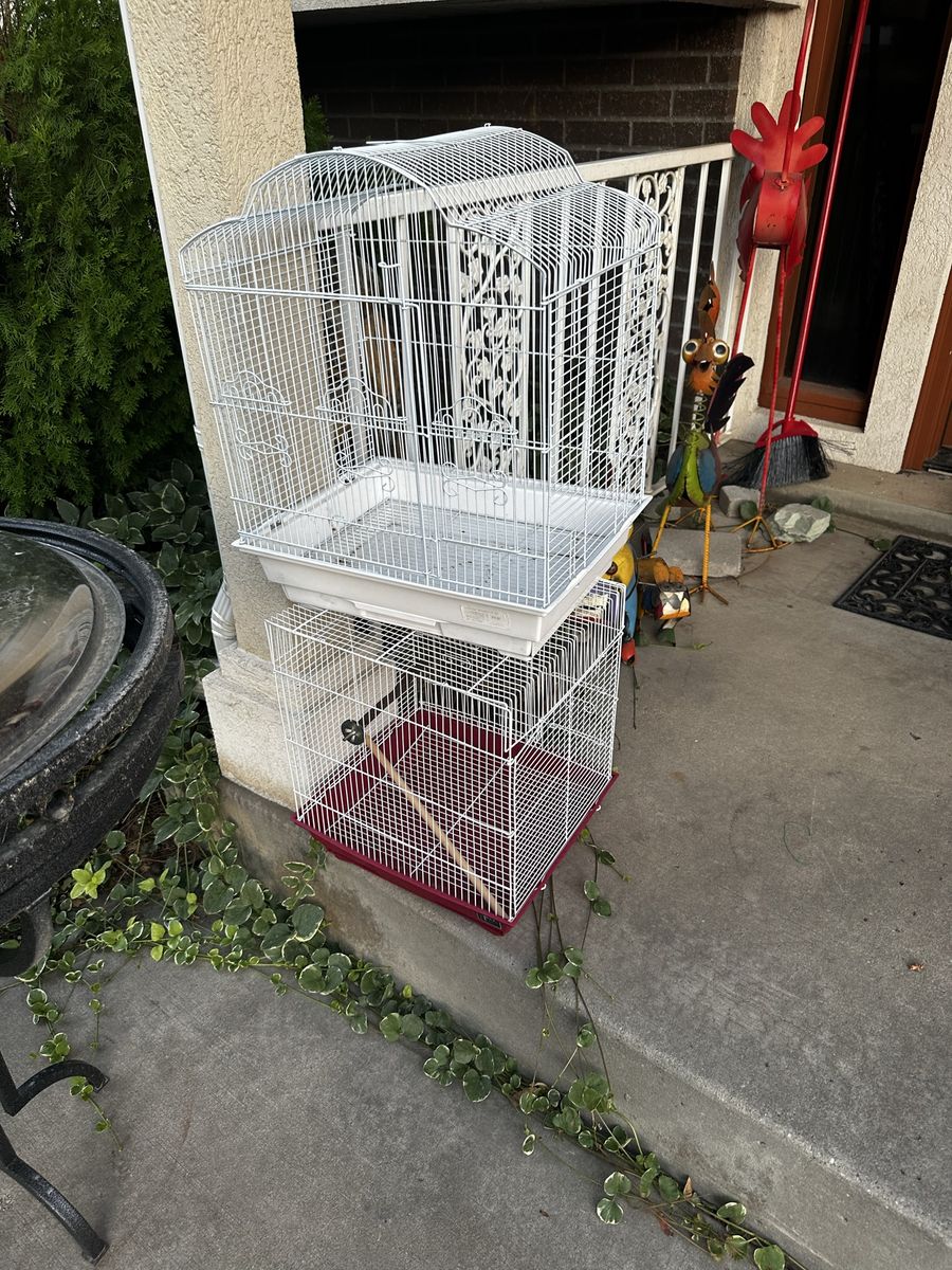 Cages