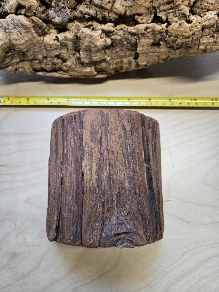 Main image 16