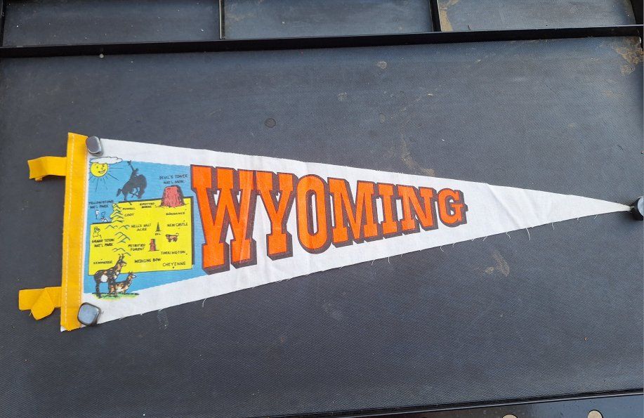 Beautiful Vintage MCM Wyoming  Felt Pennant 24"