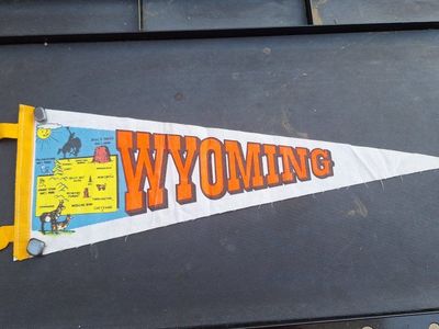 Beautiful Vintage MCM Wyoming Felt Pennant 24"