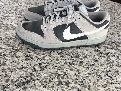 Nike Dunks Size 12