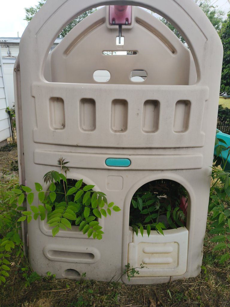 Main image 2