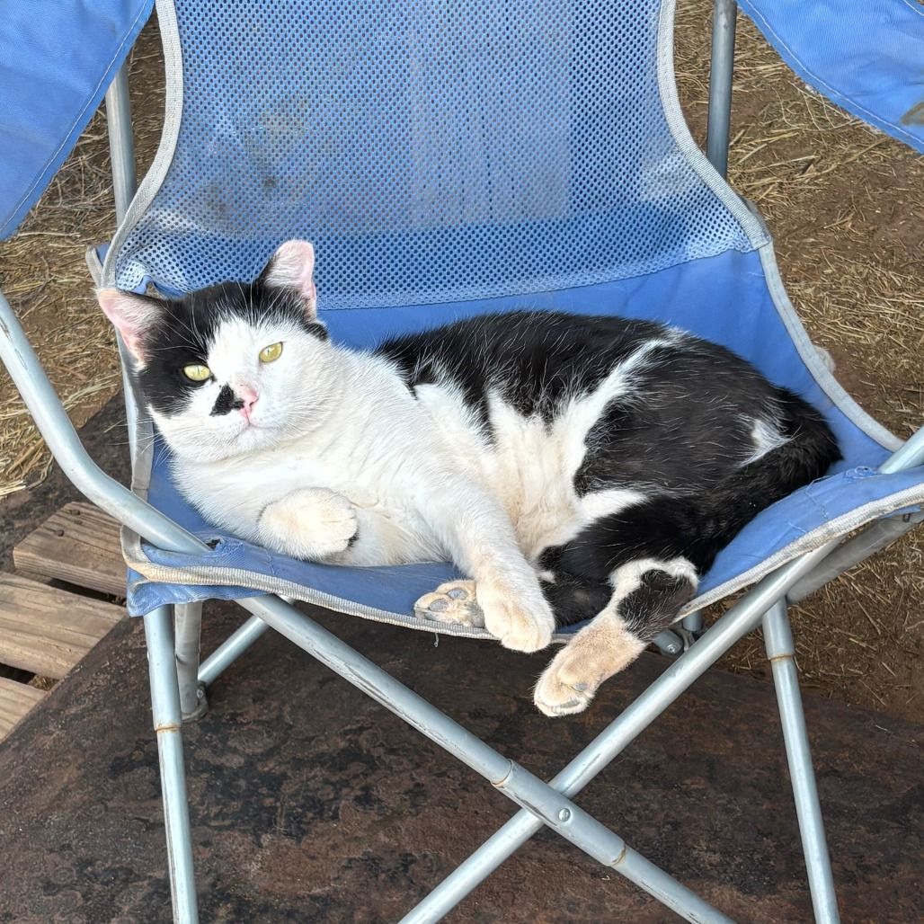 Hello my name is Smokey
