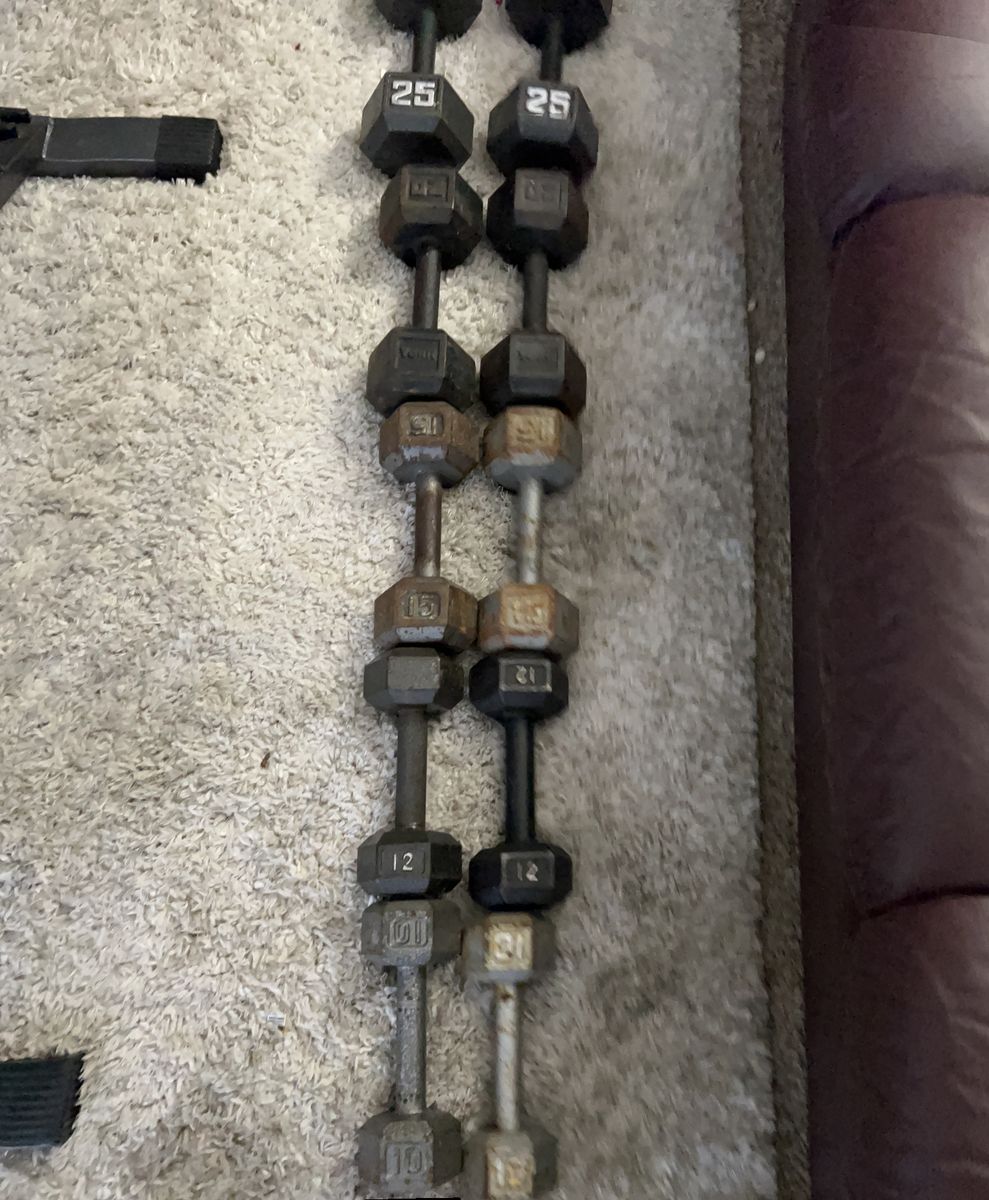 dumbell Set With Brand New Bench