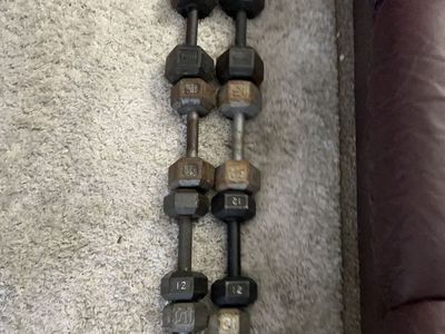 dumbell Set With Brand New Bench