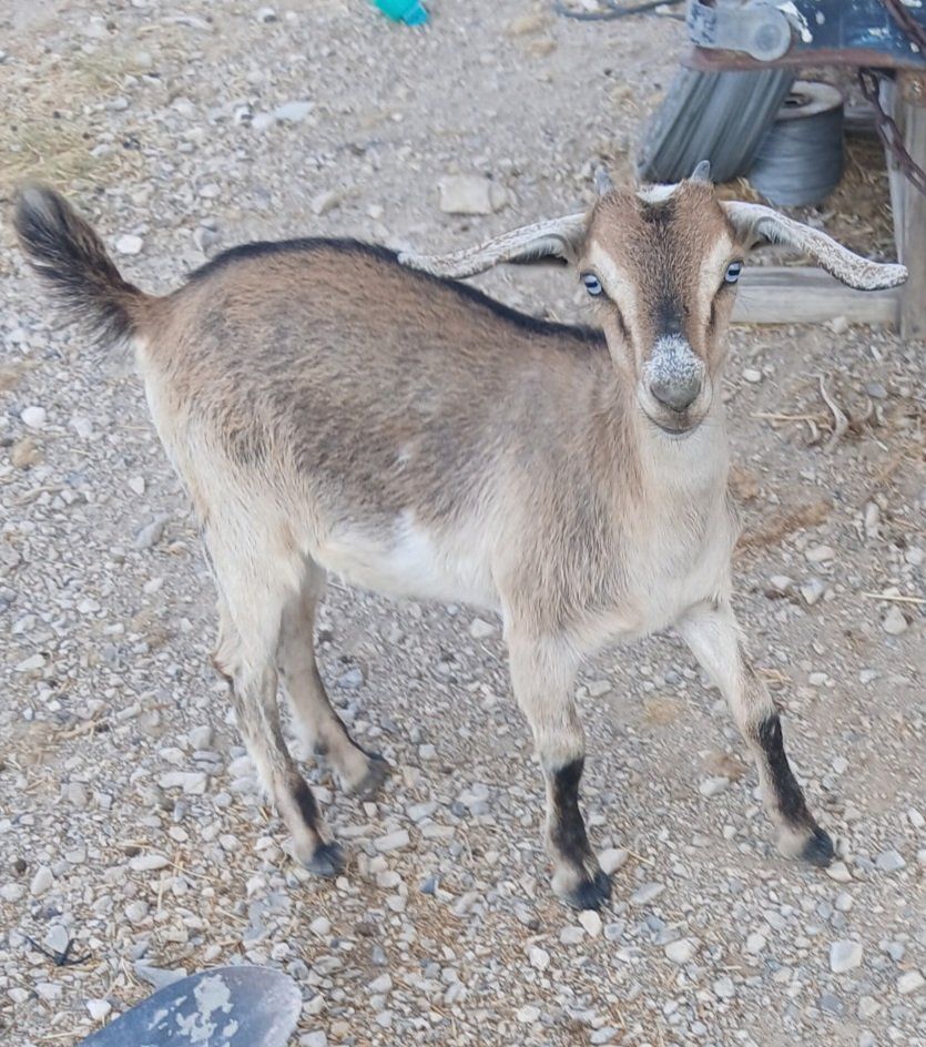 Main image 6