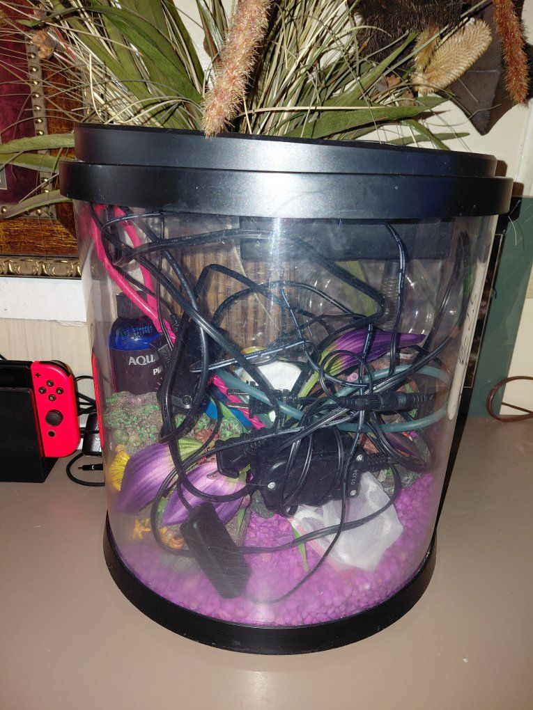 small fish tank