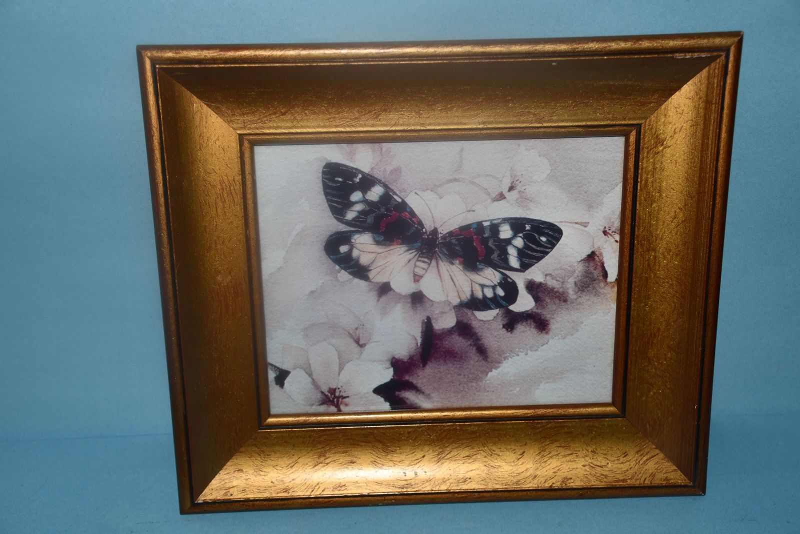 PRETTY "BUTTERFLY" PICTURE ~ 12" x 14" FRAMED ~ PICTURE SIZE 8" x 10" ~ HANGER ~ GOLD FRAME ~ $5