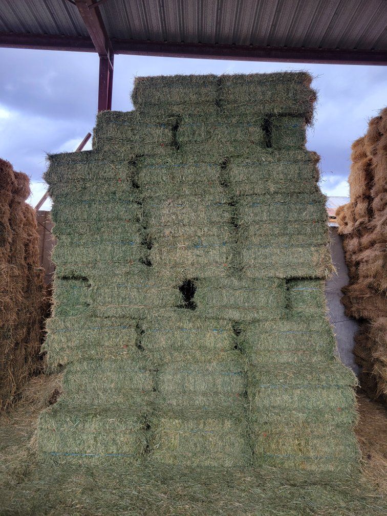 PREMIUM horse hay / Delivery services
