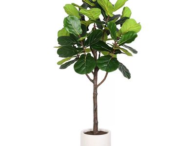 Faux Fiddle Leaf Fig Tree 6.5ft 1363170 #85079