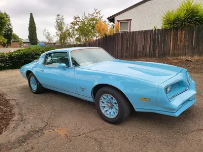 1977 PONTIAC FIREBIRD Firebird