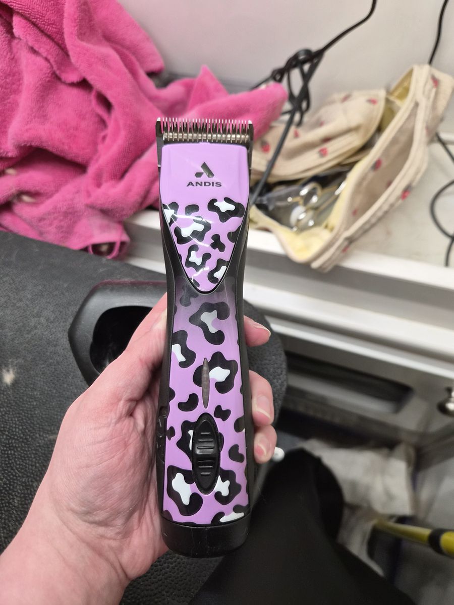 andis 561458 pulse zr II