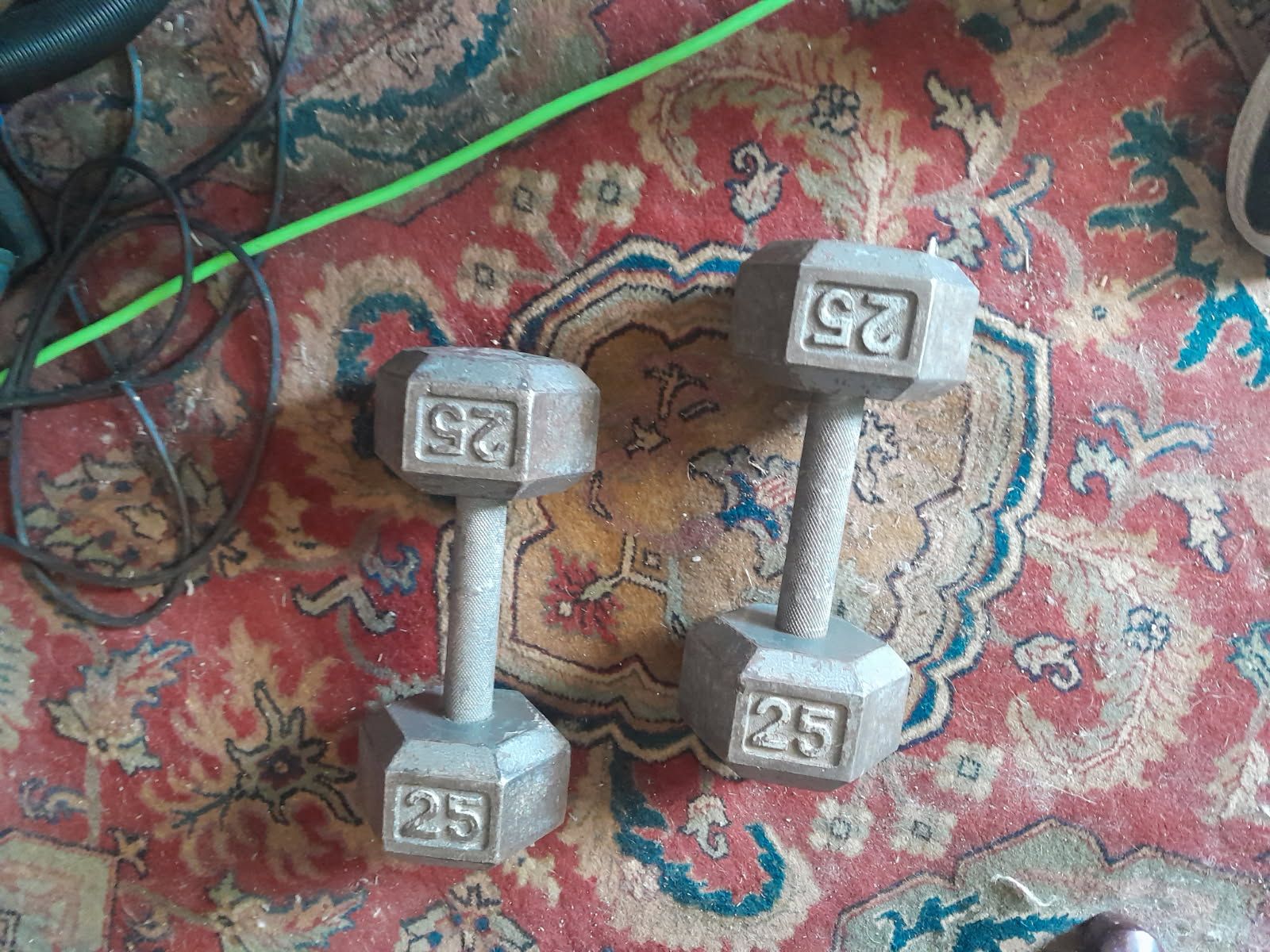 Pair 25lb Iron Hex DBs