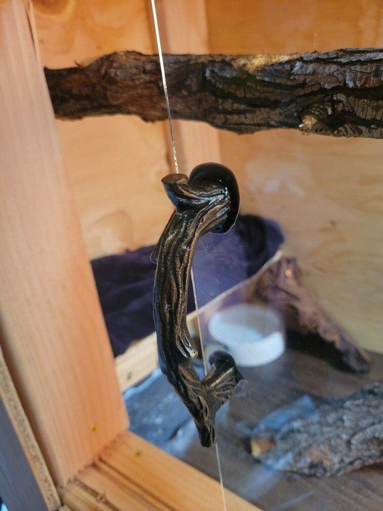 Custom Reptile Enclosures / Tanks – Made to Order