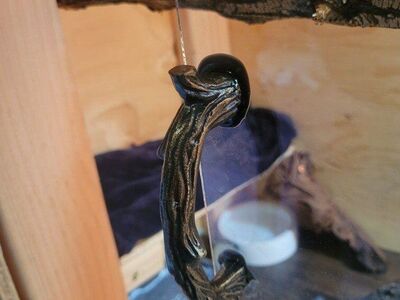 Custom Reptile Enclosures / Tanks – Made to Order