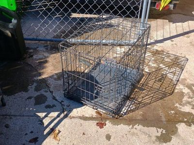 Medium pet crate