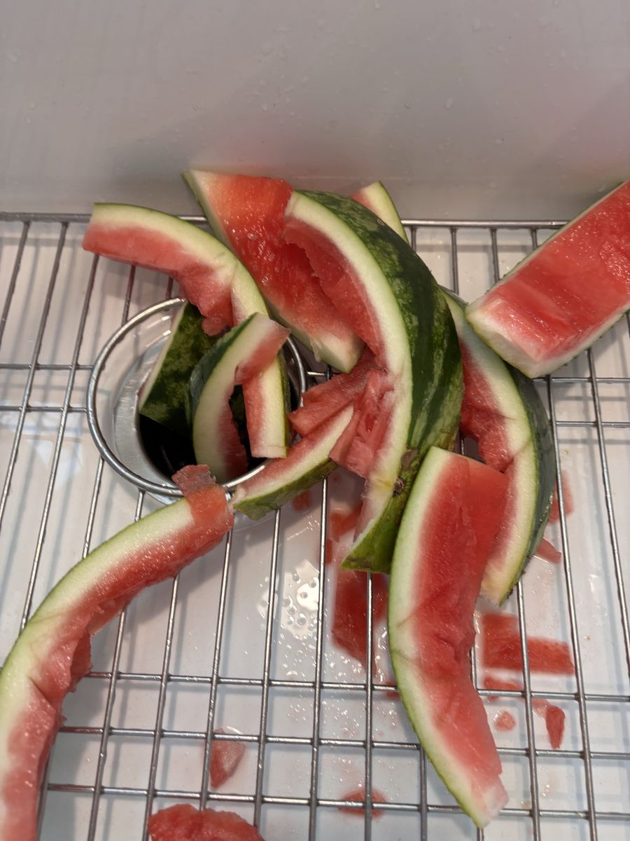 watermelon rinds for your chickens?? Read Description