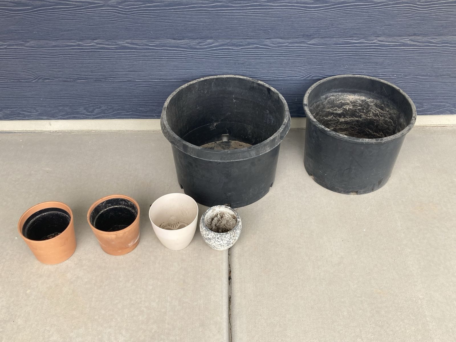Multiple Plant Pots!