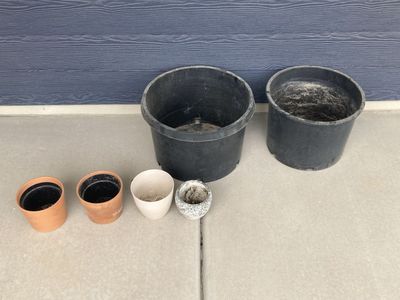 Multiple Plant Pots!