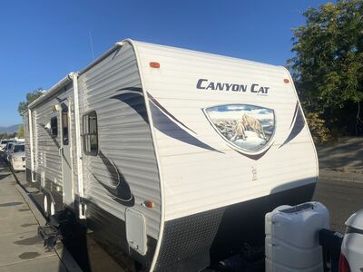 2013 Canyon Cat by Palomino