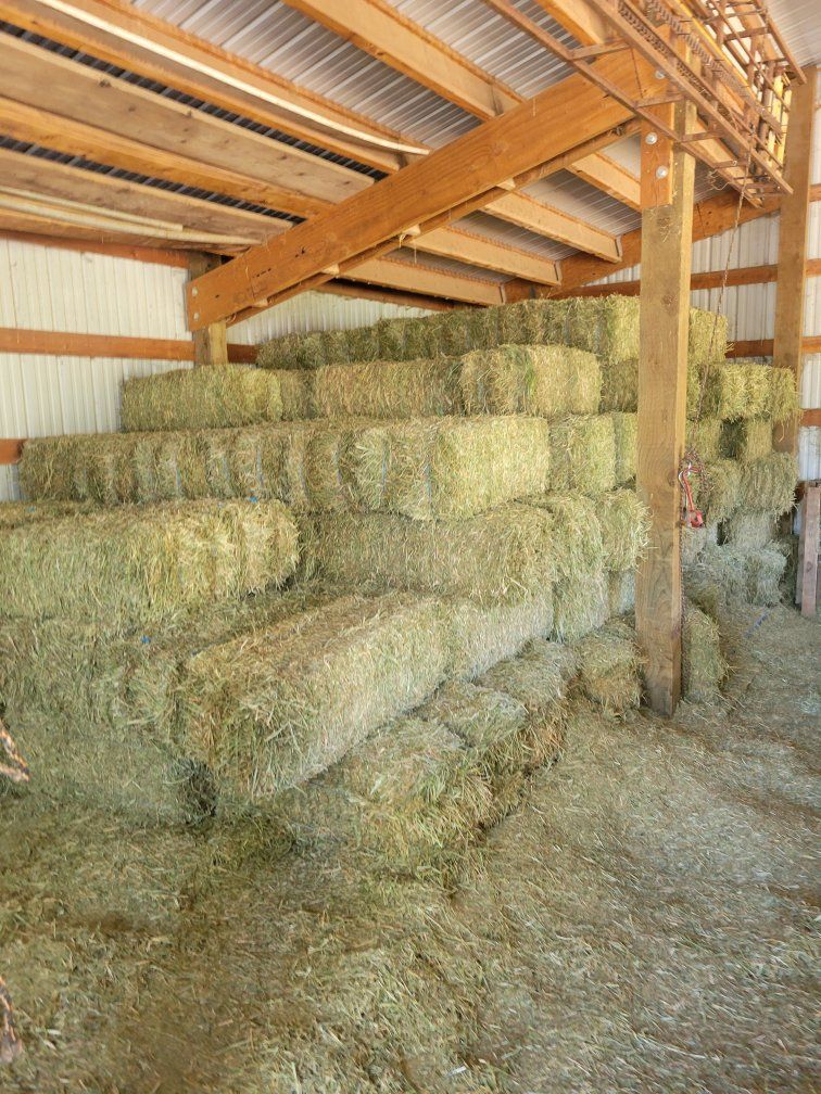 PREMIUM horse hay / Delivery services