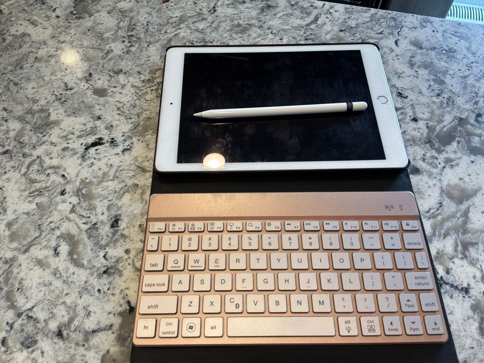 iPad Pro 9.7 inch 128 GB