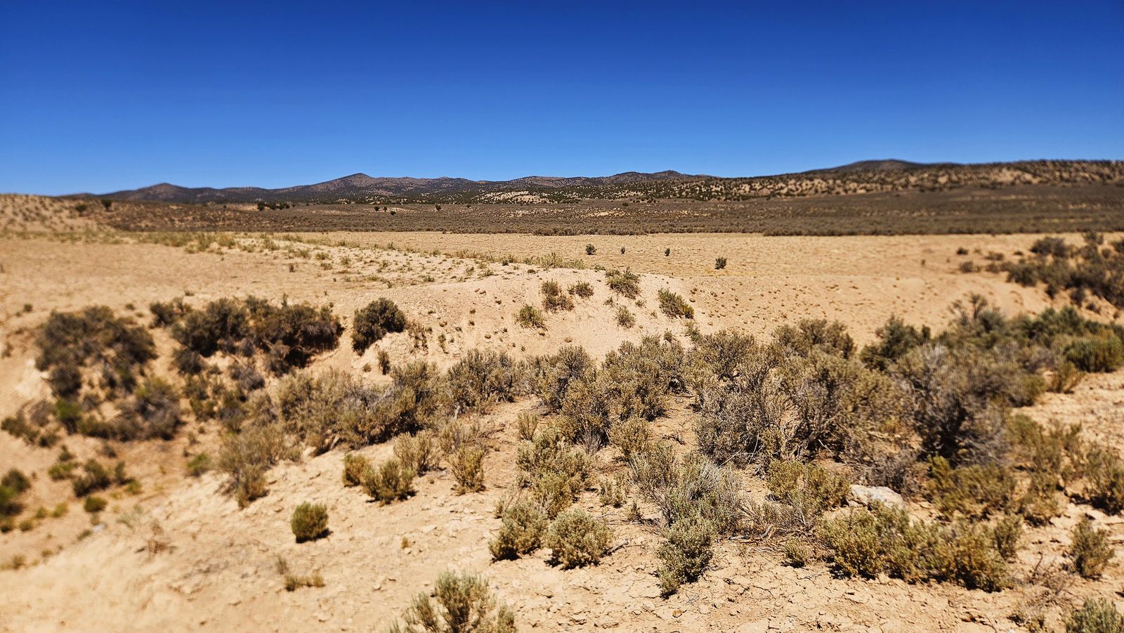 Your Own Hunting Camp Next to Public Land