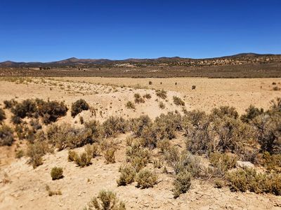 Your Own Hunting Camp Next to Public Land