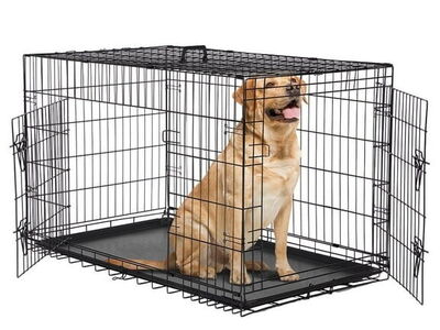 Kong XL Dog Crate