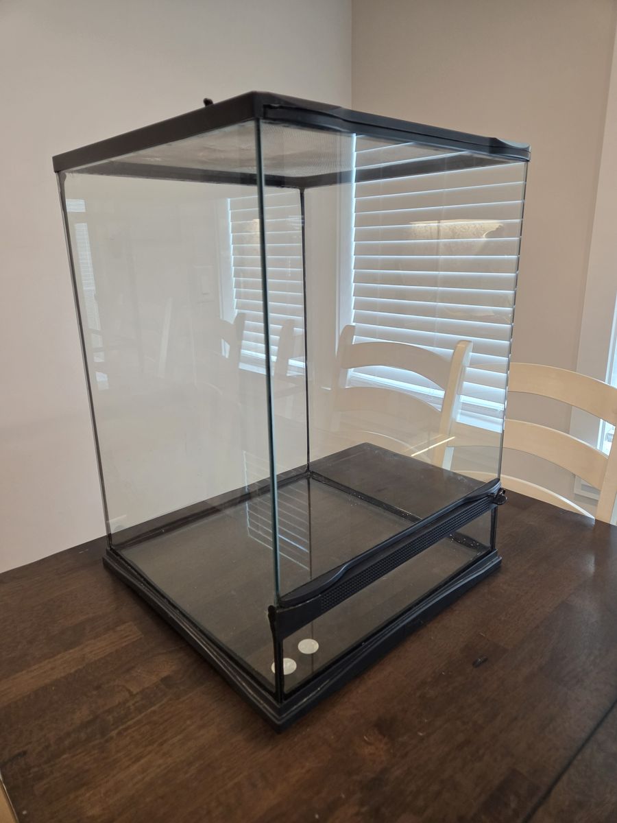 Main image 4