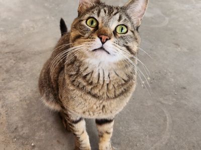 Hello my name is Luau